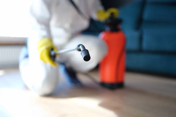  Elk Rapids, MI Mold Removal Pros