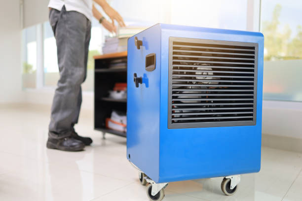 Best Mold Damage Restoration  in Elk Rapids, MI