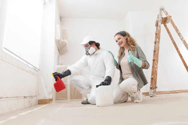 Best Real Estate Mold Inspection  in Elk Rapids, MI